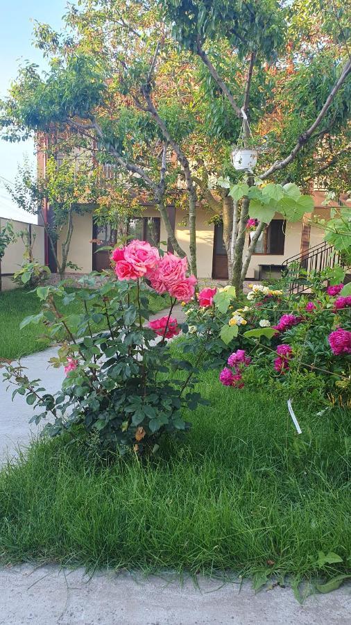 La Babusca Hotel Două Mai Kültér fotó